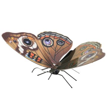 maqueta-3d-metal-fascinations-mariposa-buckeye-montaje-sin-pegamento-ni-soldadura-1