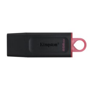 MEMORIA USB 256GB KINGSTON DTX/256 USB3.2